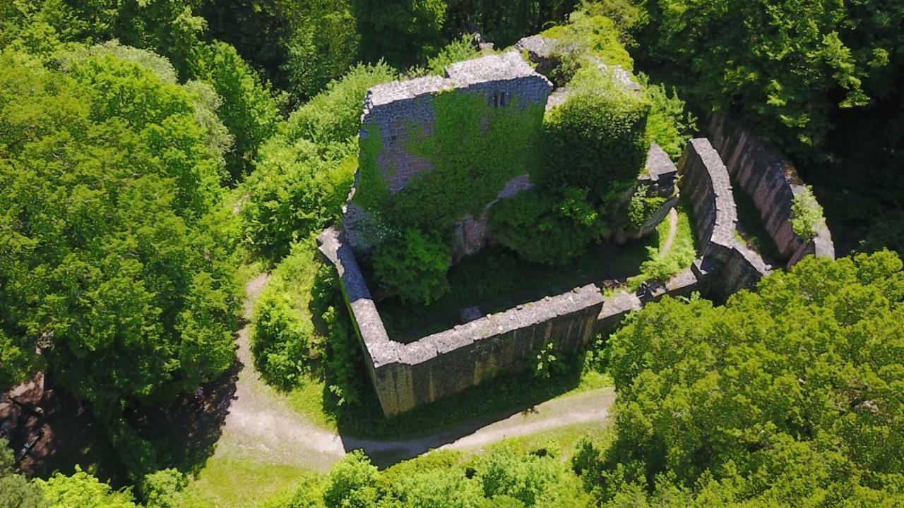 Bungalow Im Schwarzwald Auf Wunderschoenem Anwesen Neubulach Εξωτερικό φωτογραφία